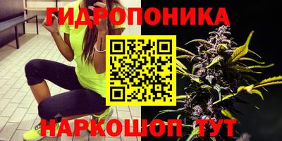 хмурый Апшеронск